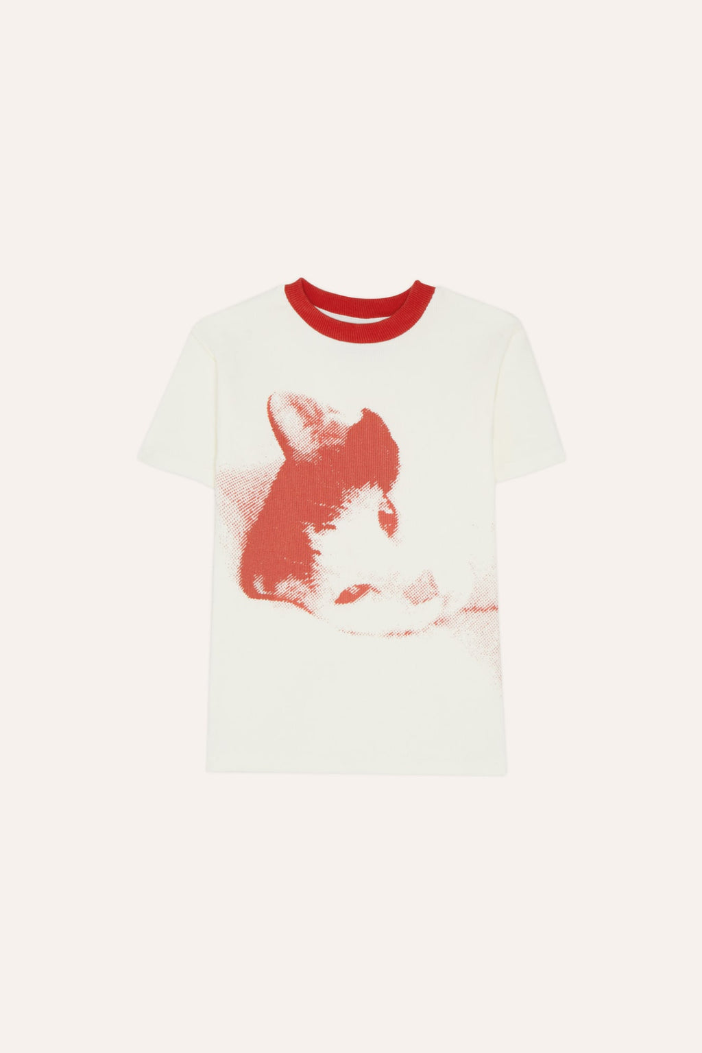 Camiseta Paco the Cat