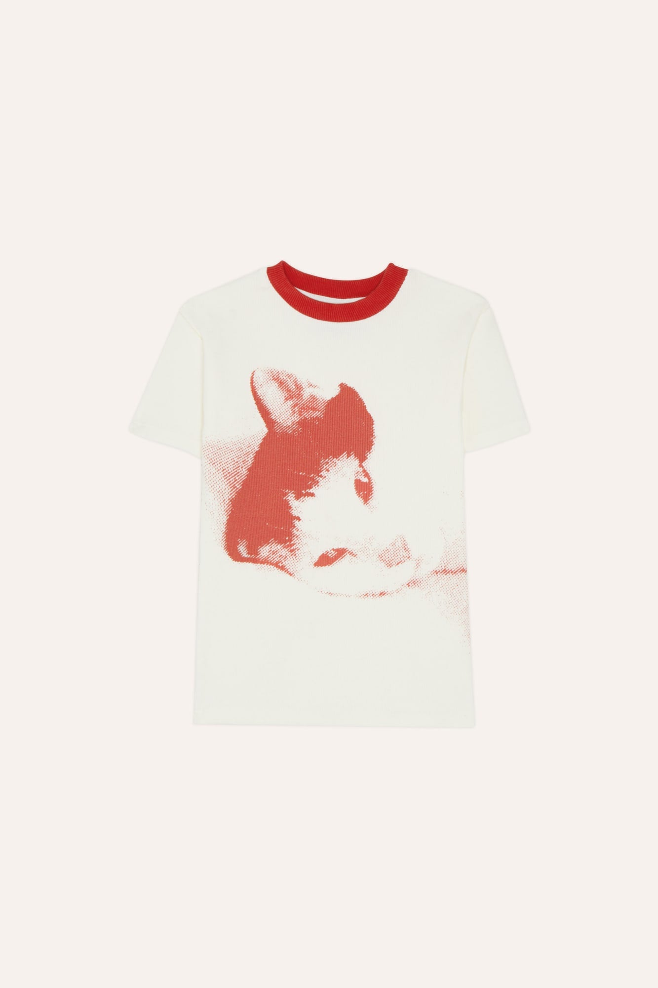 Camiseta Paco the Cat