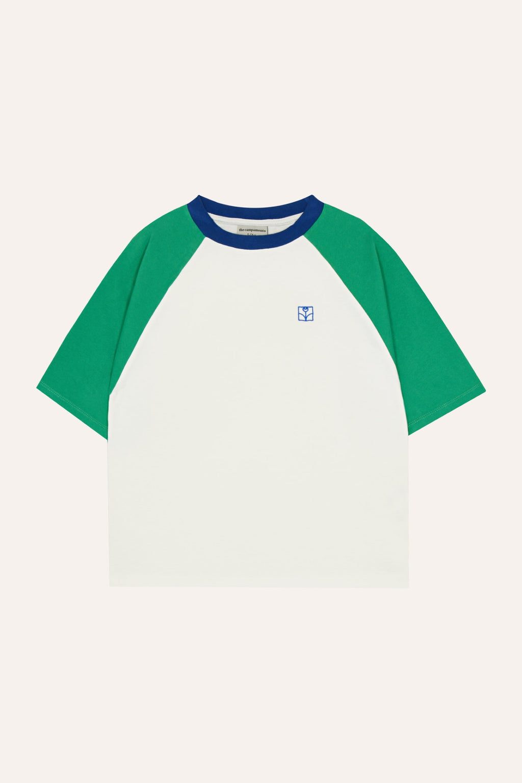 Camiseta Color Block Verde