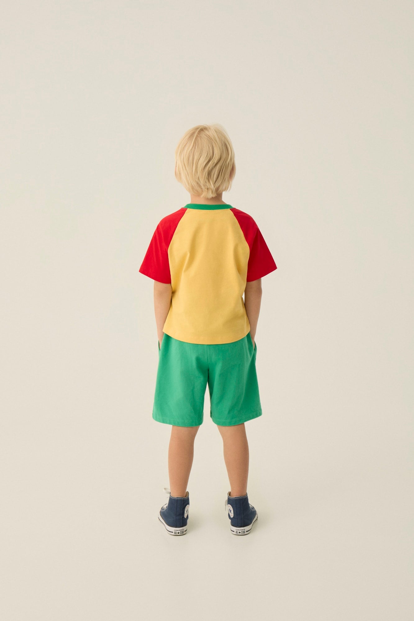 Camiseta Reading Lion