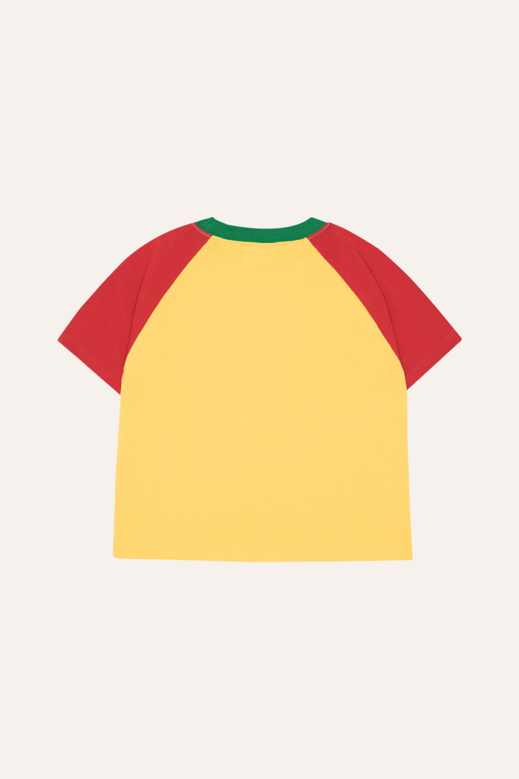 Reading Lion Tshirt