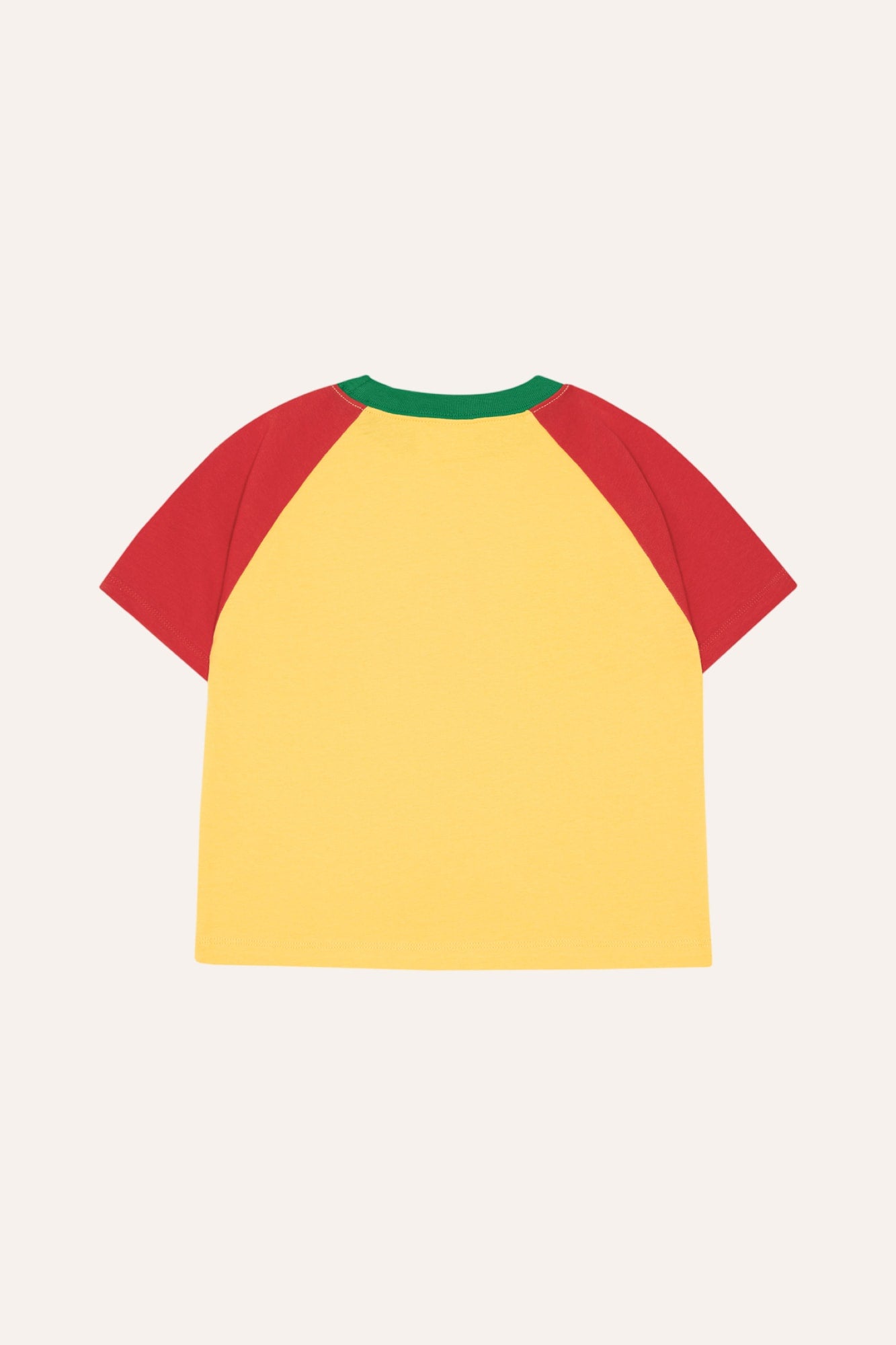 Camiseta Reading Lion