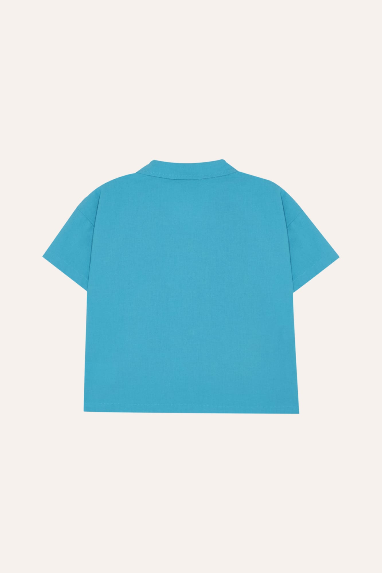 Camisa Azul Ladybug