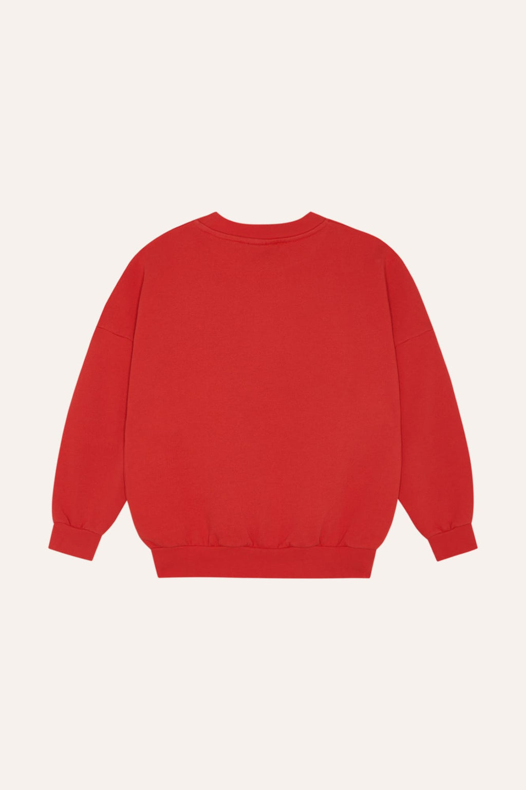 Sudadera Reading Lion