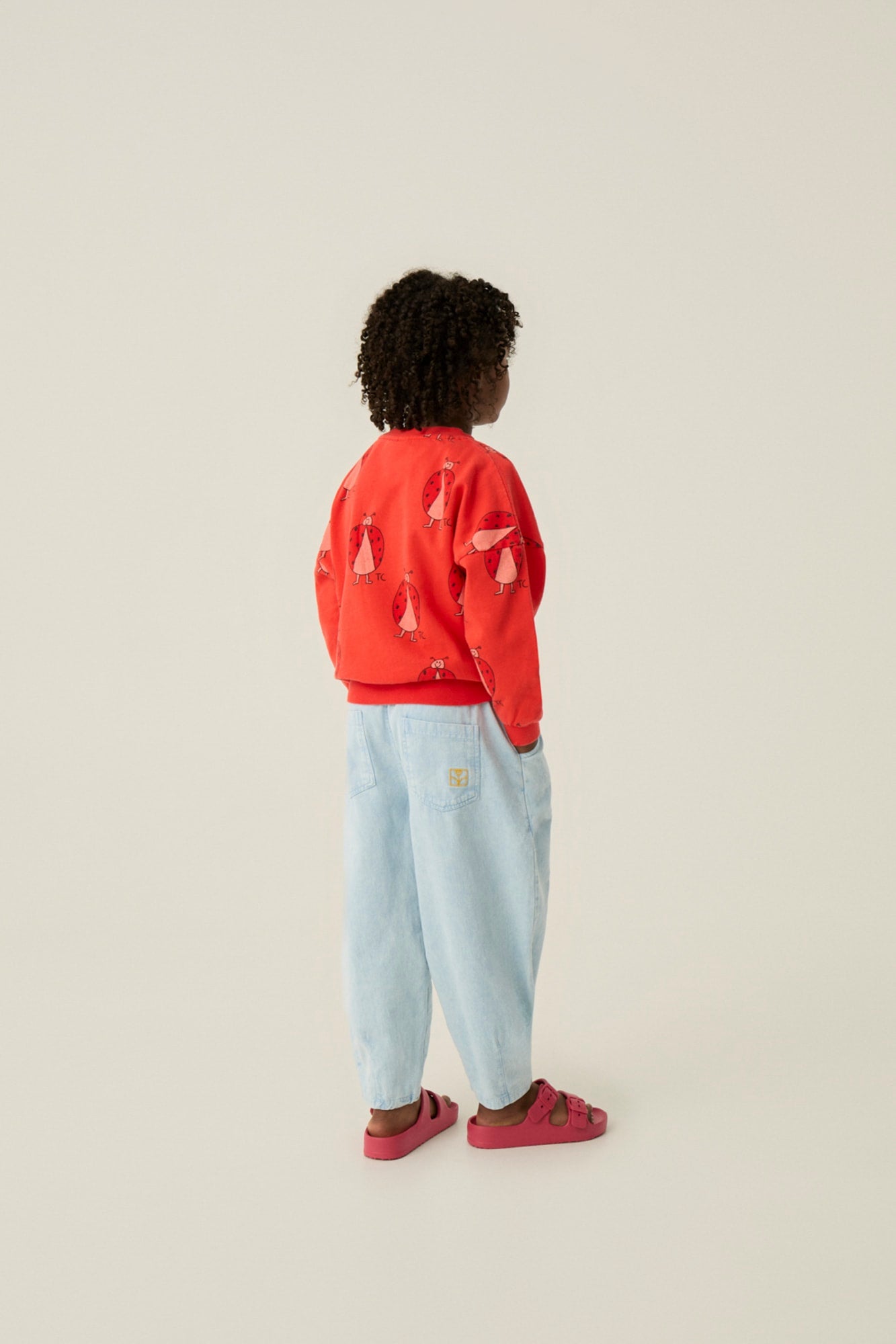 Sudadera Ladybug Allover