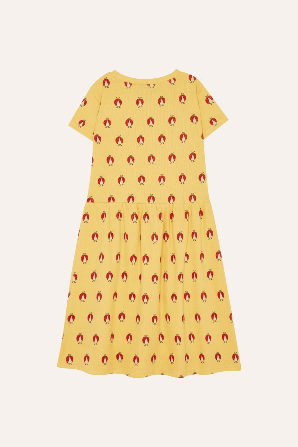 Vestido Amarillo Ladybug Allover