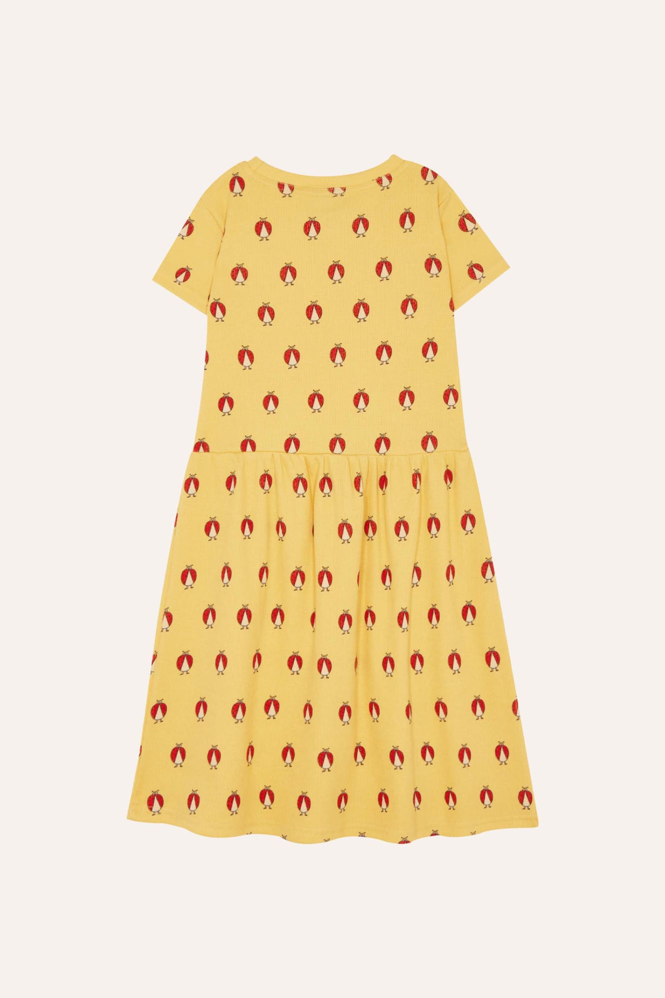 Vestido Amarillo Ladybug Allover
