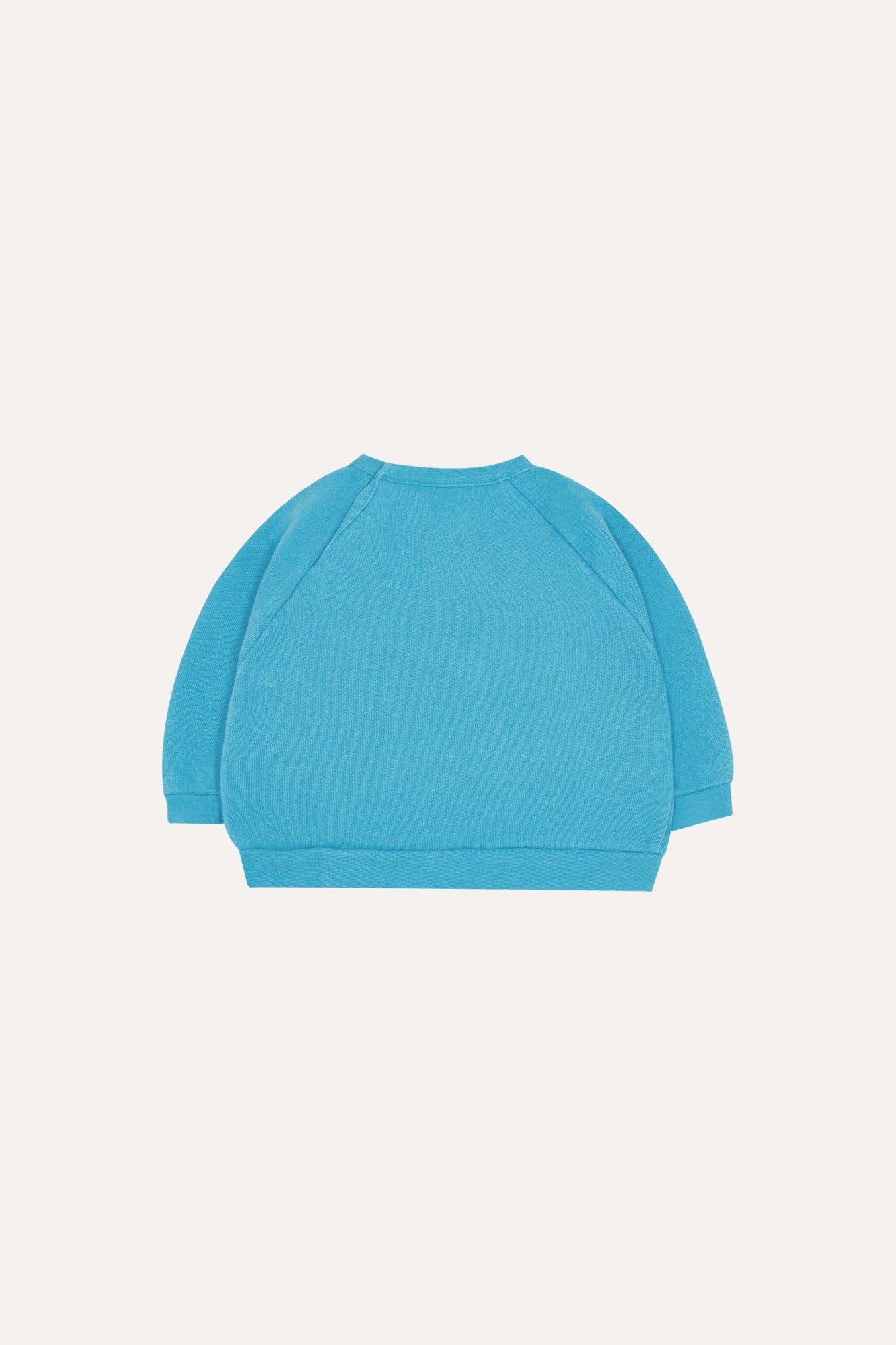 Sudadera Bebé Azul Lavada