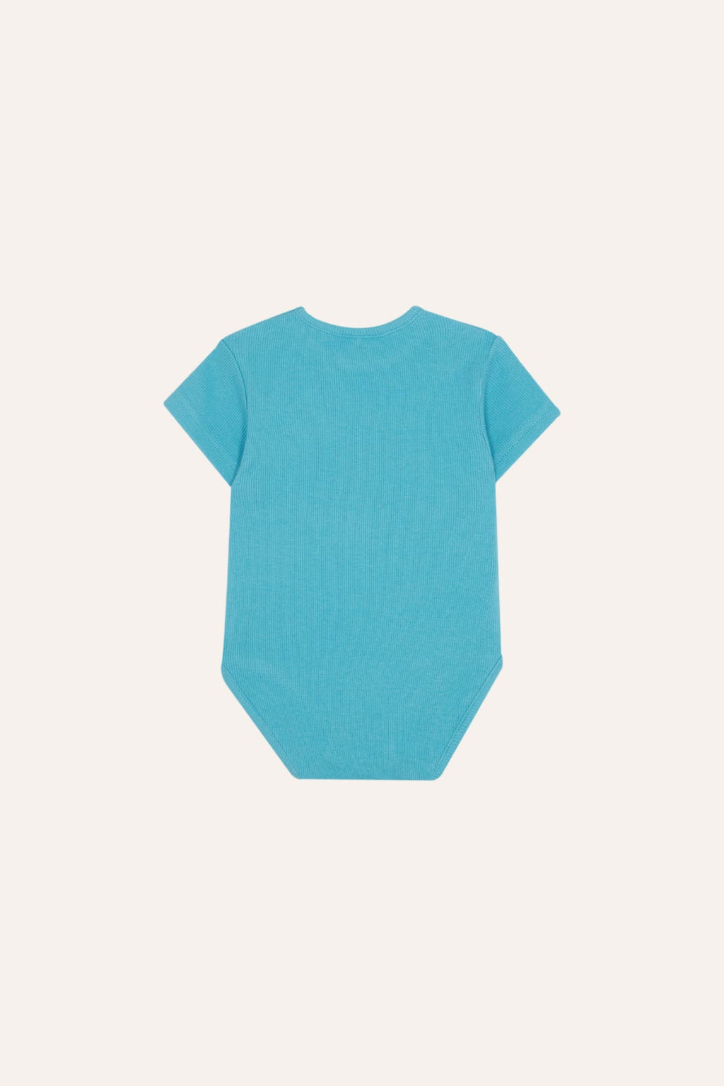 Body Bebé Azul Ladybug