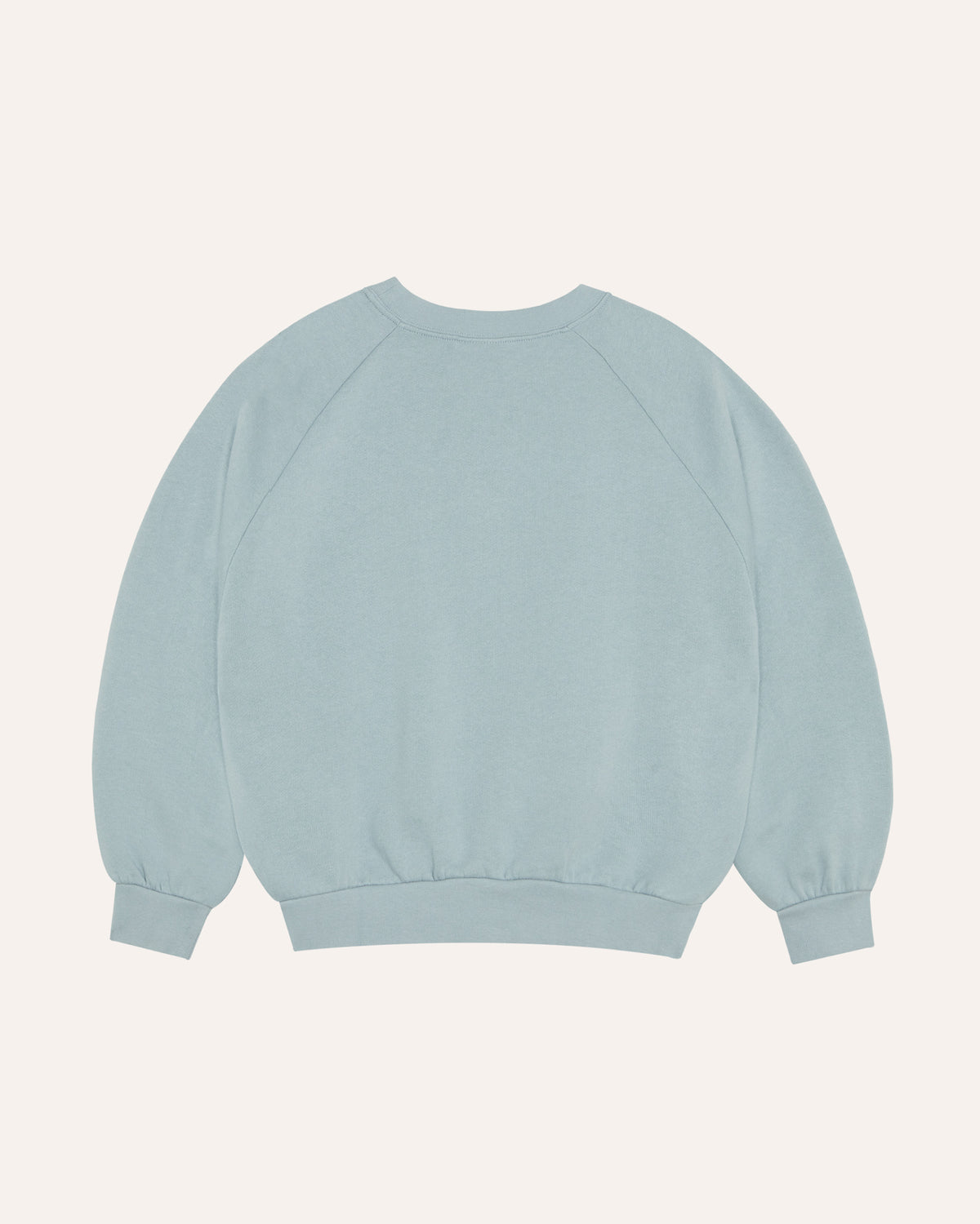 Bear Light Blue Sweatshirt