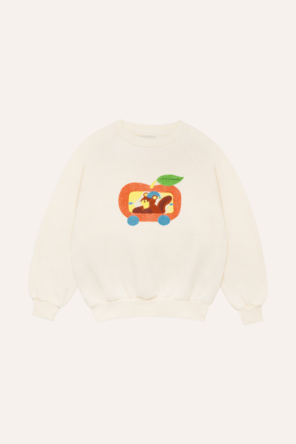 Sudadera Squirrel in an Apple