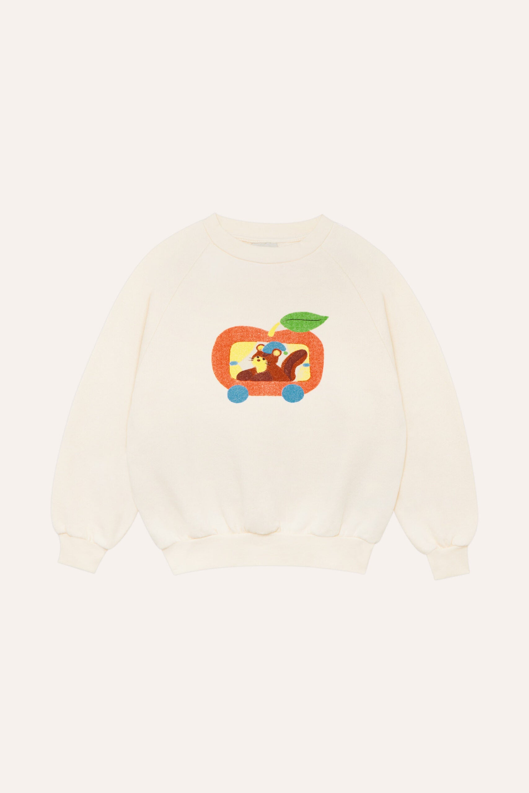 Sudadera Squirrel in an Apple