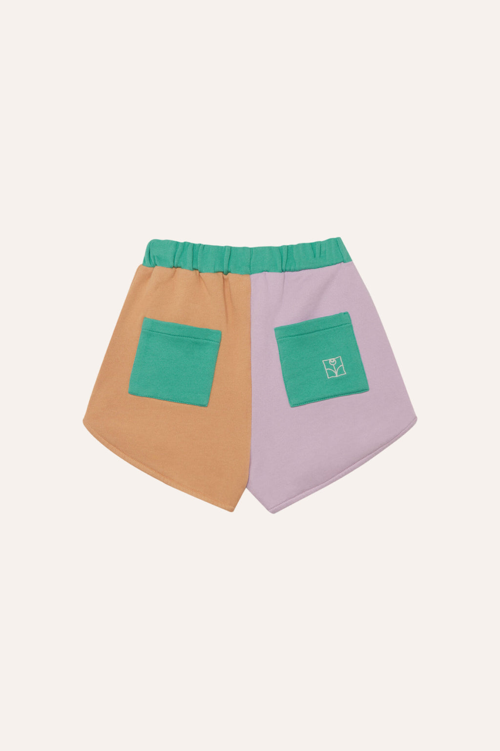 Color Block Shorts