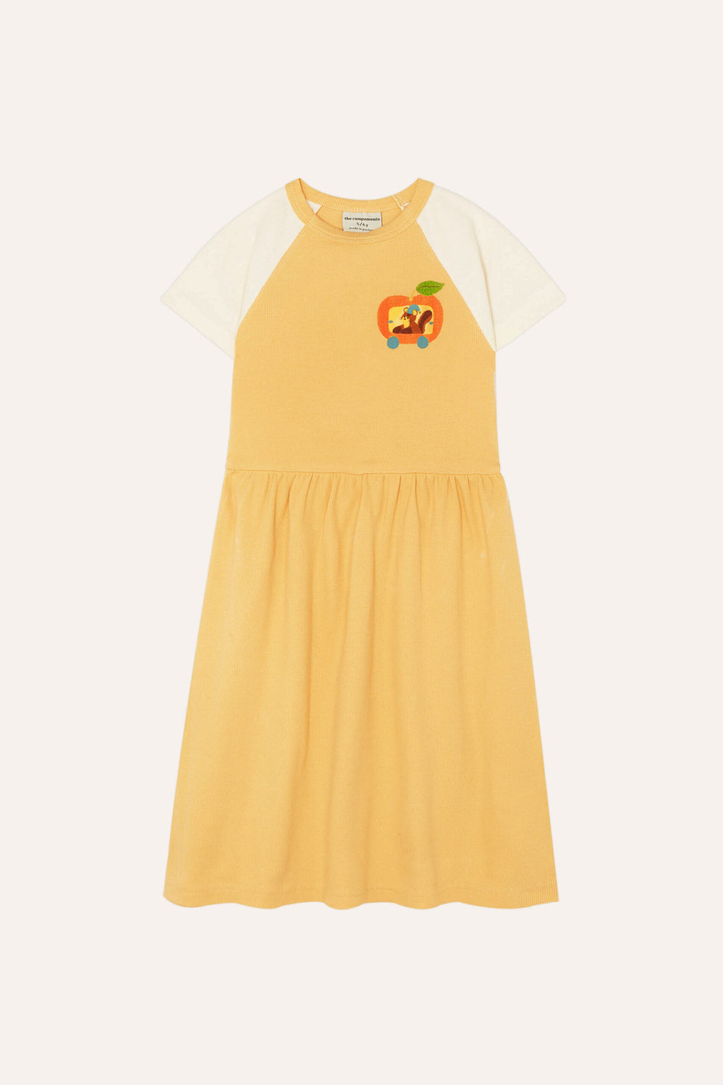 Squirrel in an Apple Dress
