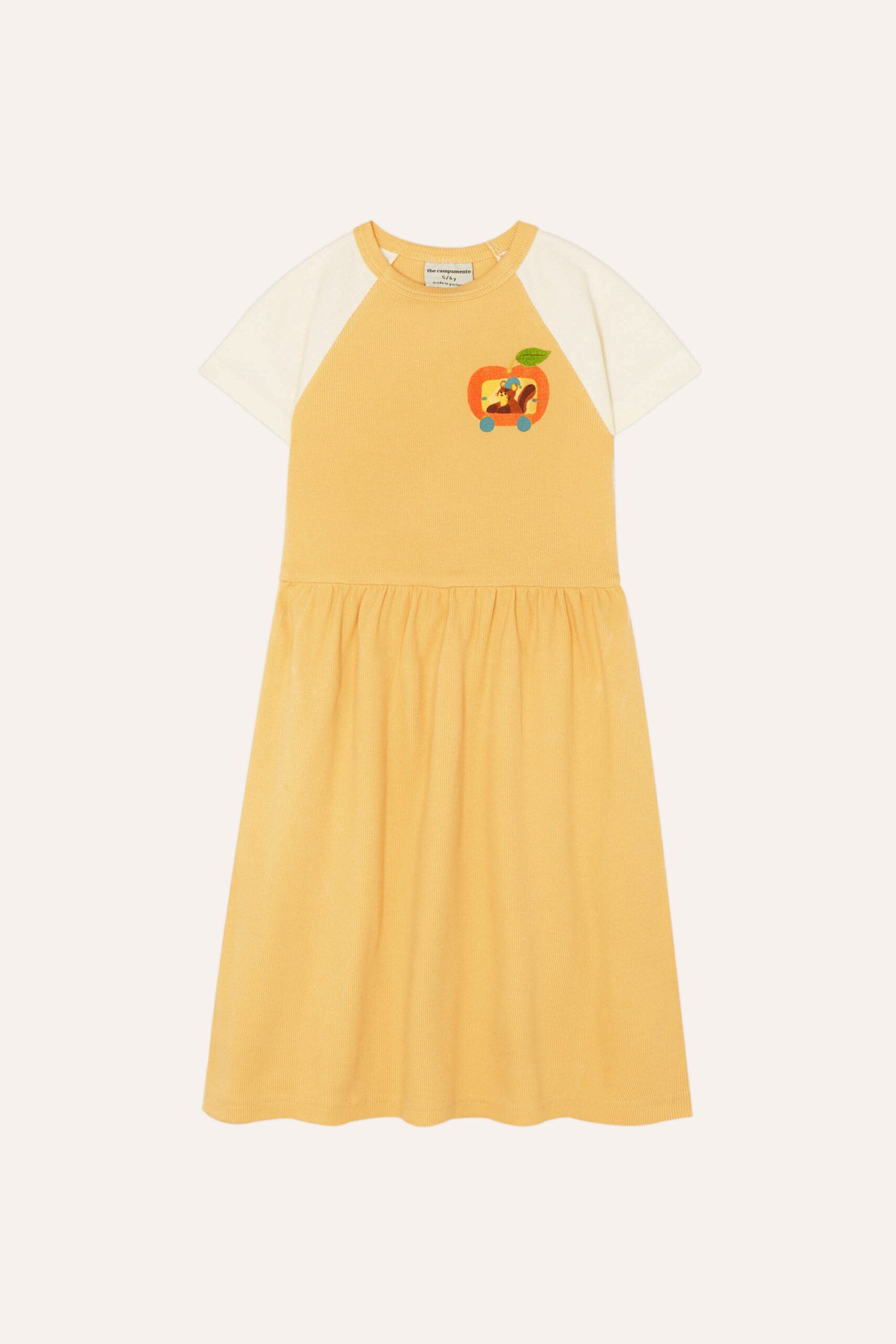 Vestido Squirrel in an Apple