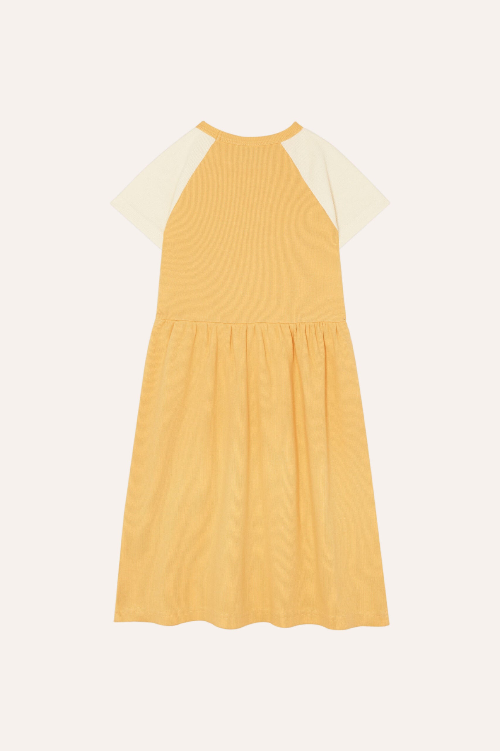 Vestido Squirrel in an Apple